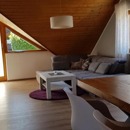 Appartment Sonnenblick Dielheim 외부 사진