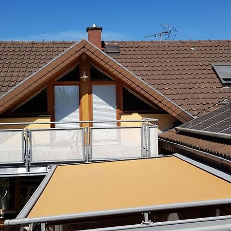 Appartment Sonnenblick Dielheim 외부 사진