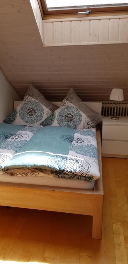 Appartment Sonnenblick Dielheim 외부 사진